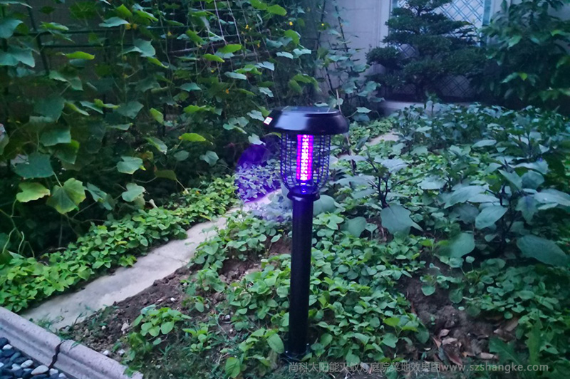 太陽能滅蚊燈別墅庭院菜地使用效果